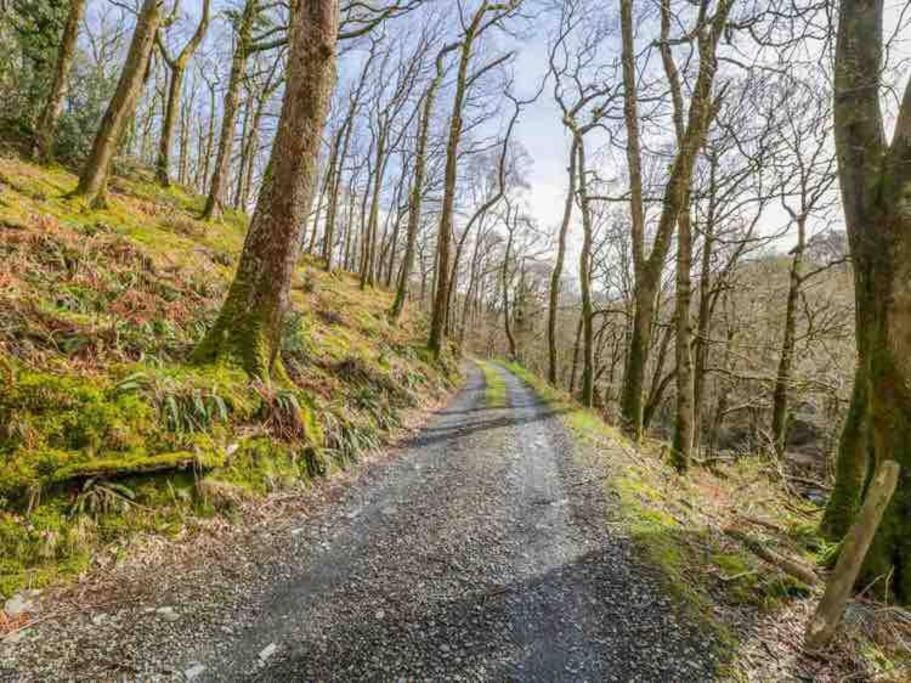Pandy Farmhouse - Panoramic Mountain Views Within Snowdonia'S National Park - 4X4 Recommended Dolgellau Zewnętrze zdjęcie